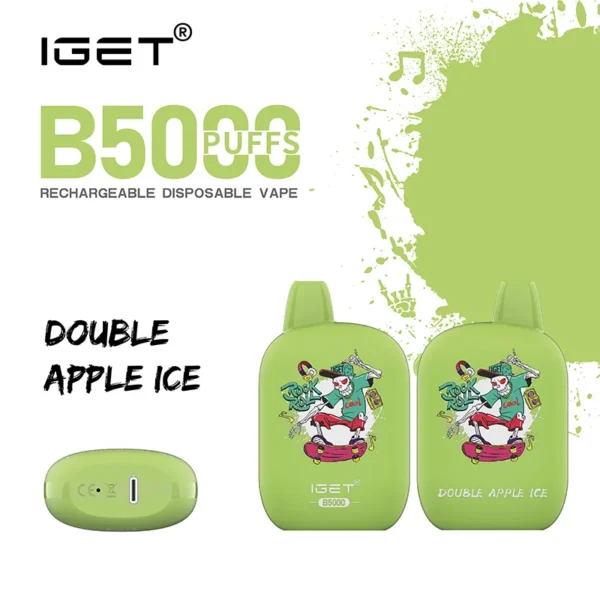 IGET ROCK B5000 (5000puffs)